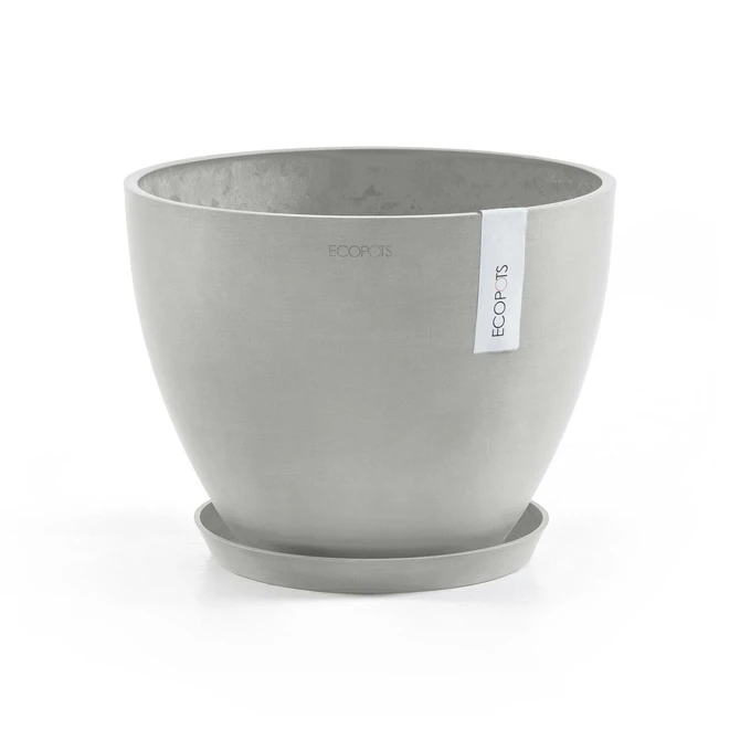 Schaal round d21cm wit grijs met pot, Ecopots, tuincentrumoutlet.com
