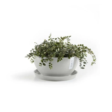 Schaal round d21cm wit grijs sfeerfoto, Ecopots, tuincentrumoutlet.com