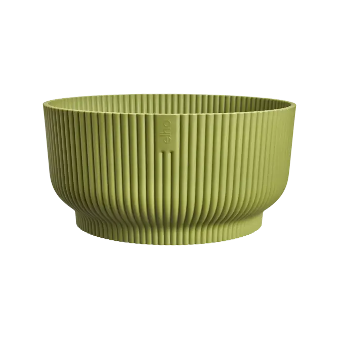 Schaal vibes fold d25cm varengroen - afbeelding 1