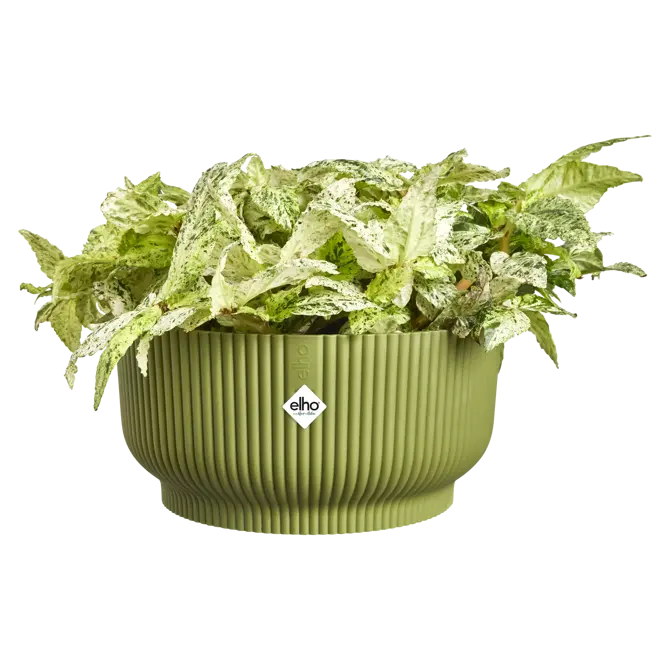 Schaal vibes fold d25cm varengroen - afbeelding 3