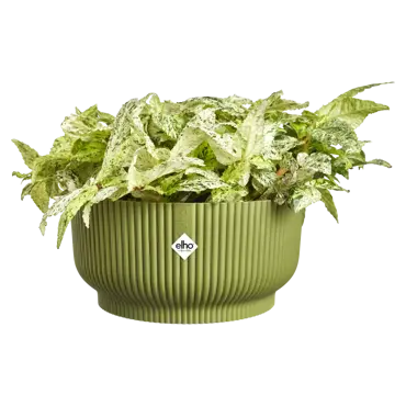 Schaal vibes fold d25cm varengroen - afbeelding 3