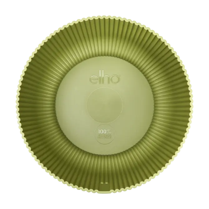 Schaal vibes fold d25cm varengroen - afbeelding 4