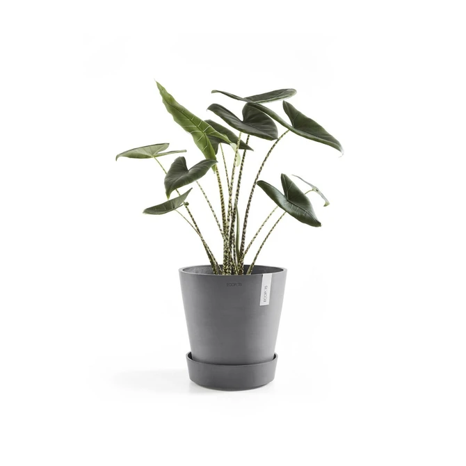 Schaal wheels d29cm grijs met plant, Ecopots, tuincentrumoutlet.com