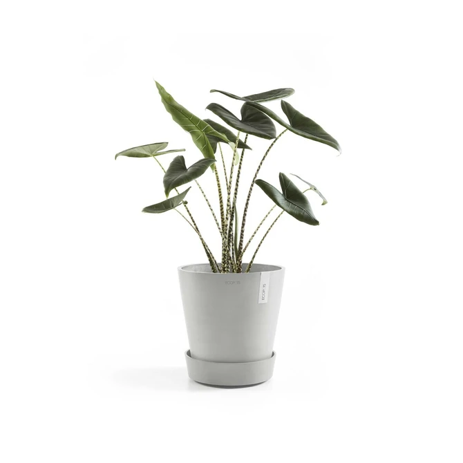 Schaal wheels d29cm witgrijs met plant, Ecopots, tuincentrumoutlet.com