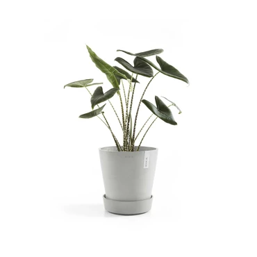 Schaal wheels d29cm witgrijs met plant, Ecopots, tuincentrumoutlet.com