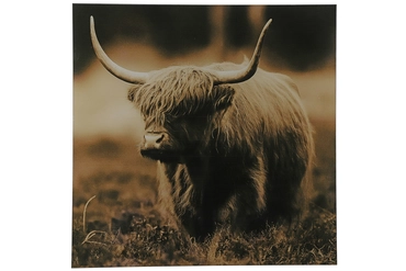 Schilderij hooglander vk Bresser sepia