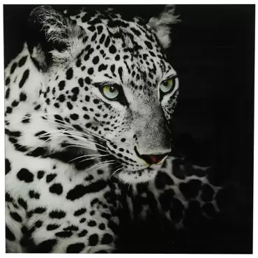 schilderij luipaard C vk wild life L zwartwit