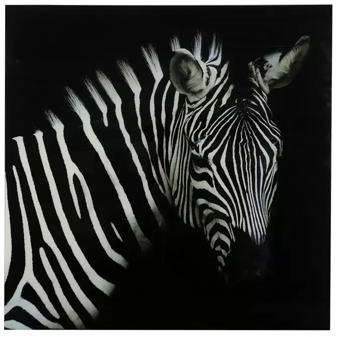 schilderij zebra vk wild life L zwartwit