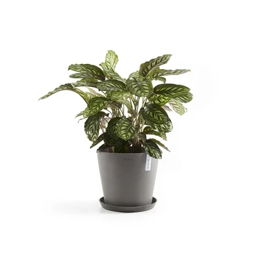 Schotel d25cm taupe sfeerfoto, Ecopots, tuincentrumoutlet.com