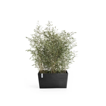 Schotel rh paris l60cm donkergrijs - afbeelding 3