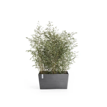 Schotel rh paris l60cm grijs - afbeelding 3