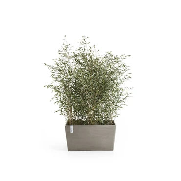 Schotel rh paris l60cm taupe - afbeelding 3