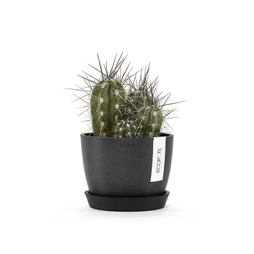Schotel stockholm d15cm donkergrijs sfeer, Ecopots, tuincentrumoutlet.com