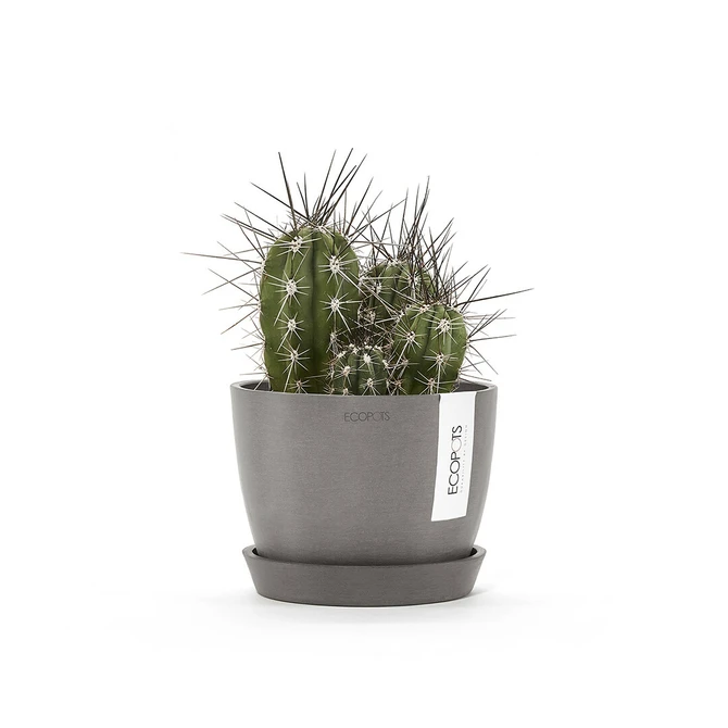 Schotel stockholm d15cm taupe sfeer, Ecopots, tuincentrumoutlet.com