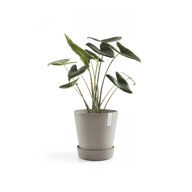 Schotel+wiel d50cm taupe met plant, Ecopots, tuincentrumoutlet.com