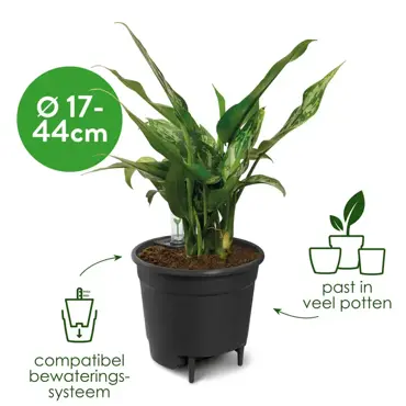 self-watering insert 17cm living black USP'S, Elho, tuincentrumoutlet