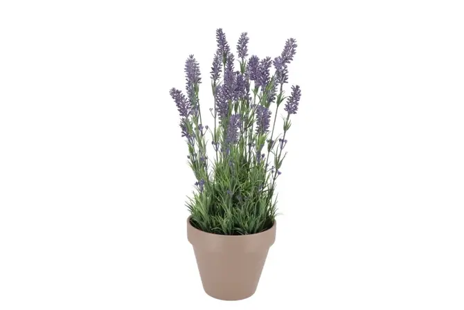 SILK LAVENDER PURPLE POT TERRA L 32X32X53CM, Daan Kromhout, tuincentrumoutlet.com