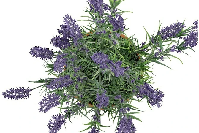 SILK LAVENDER PURPLE POT TERRA L 32X32X53CM bovenkant, Daan Kromhout, tuincentrumoutlet.com