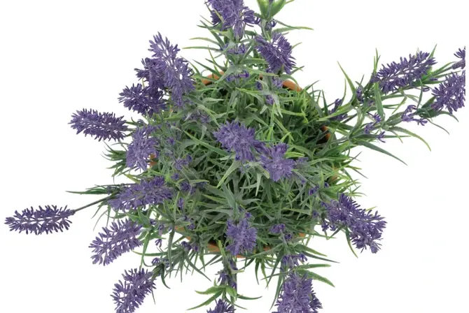 SILK LAVENDER PURPLE POT TERRA M 21X21X32CM bovenkant, Daan Kromhout, tuincentrumoutlet.com