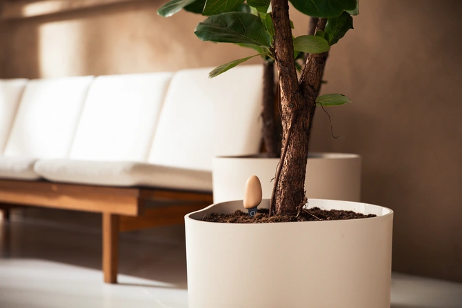 Smart pebble verzorging aardebruin sfeerbeeld, Elho, tuincentrumoutlet