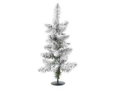 Snowy pencil pine - 60cm groen/wit