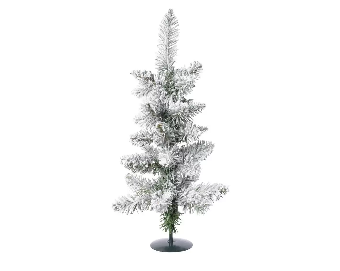 Snowy pencil pine 60cm groen/wit Tuincentrum Outlet