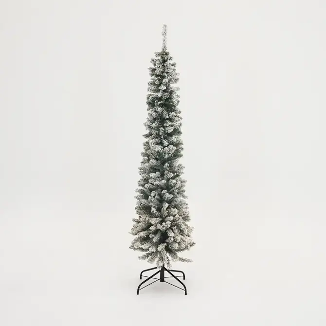 Snowy Pencil Pine setvoordeel 150/180/210 cm - afbeelding 3