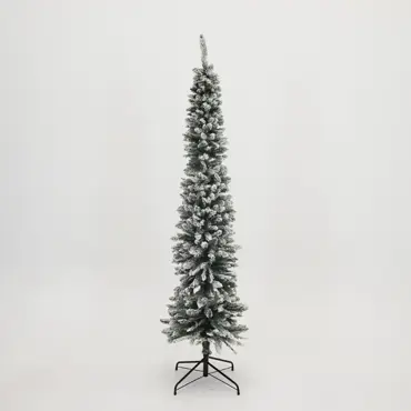 Snowy Pencil Pine setvoordeel 150/180/210 cm - afbeelding 4