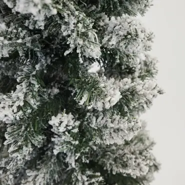 Snowy Pencil Pine setvoordeel 150/180/210 cm - afbeelding 5