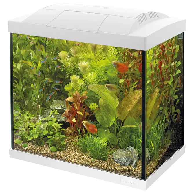 Start 30 tropical kit wit, Superfish, tuincentrumoutlet