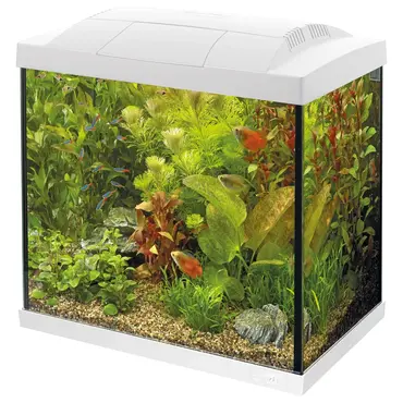 Start 30 tropical kit wit, Superfish, tuincentrumoutlet