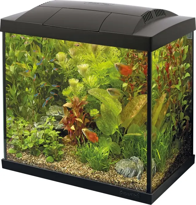 Start 30 tropical kit zwart, SuperFish, tuincentrumoutlet