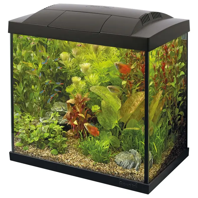 Start 50 tropical kit zwart, Superfish, tuincentrumoutlet