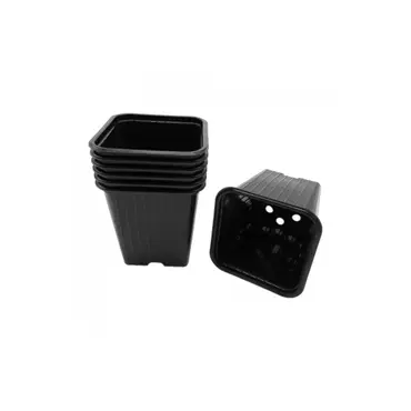 Startersset kweken Kweektafel incl. gratis deksel intense black, Tuincentrumoutlet