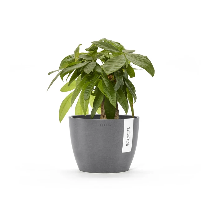 Stockholm 14 Grijs sfeer, Ecopots, tuincentrumoutlet.com