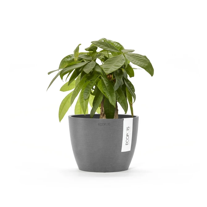 Stockholm 16 Grijs sfeer, Ecopots, tuincentrumoutlet.com