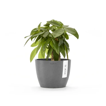 Stockholm 16 Grijs sfeer, Ecopots, tuincentrumoutlet.com