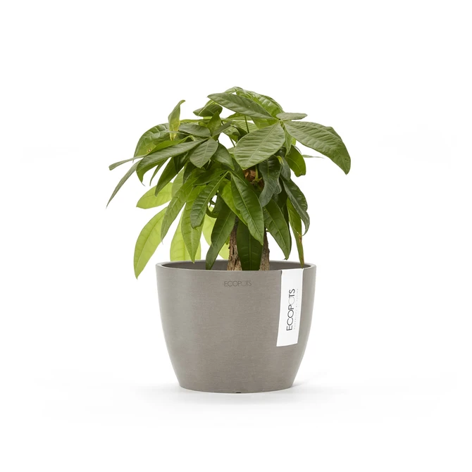 Stockholm 18 Taupe sfeer, Ecopots, tuincentrumoutlet.com