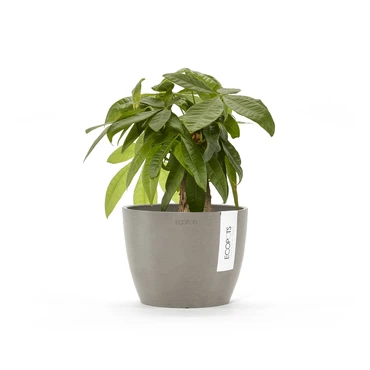 Stockholm 18 Taupe sfeer, Ecopots, tuincentrumoutlet.com