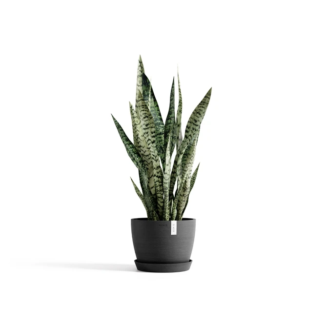 Stockholm 20 Donkergrijs sfeerbeeld, Ecopots, tuincentrumoutlet.com