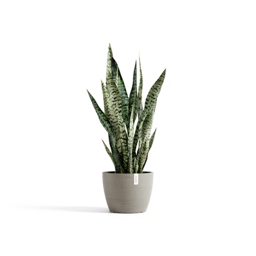 Stockholm 20 Taupe sfeer, Ecopots, tuincentrumoutlet.com