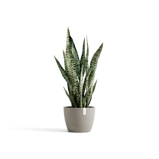 Stockholm 22 Taupe sfeer, Ecopots, tuincentrumoutlet.com