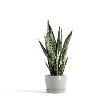 Stockholm 24 Witgrijs sfeerbeeld, Ecopots, tuincentrumoutlet.com
