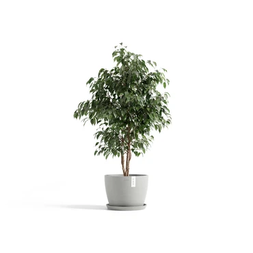 Stockholm 45 Witgrijs sfeerbeeld, Ecopots, tuincentrumoutlet.com