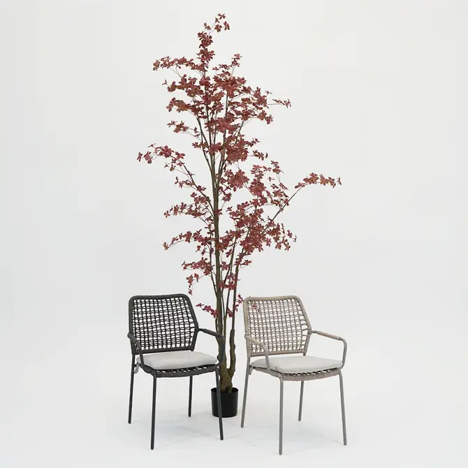 Swifty dining stoel taupe/TPU natural sfeerfoto, Garden impressions, Tuincentrumoutlet.com