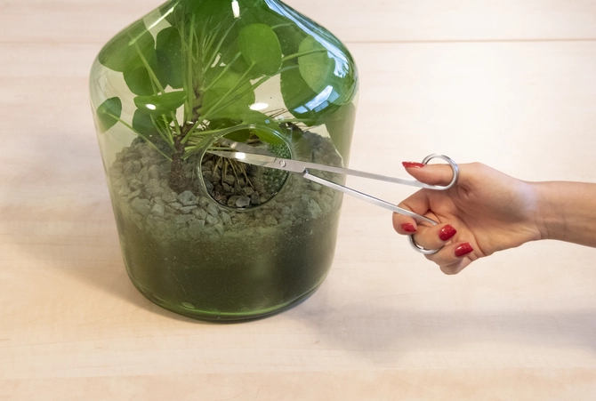 Terrarium schaar l2b6h25cm, Esschert design, Tuincentrumoutlet