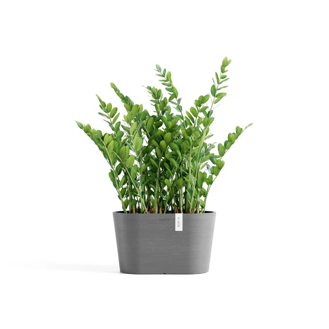 Tokyo 30 Grijs sfeer, Ecopots, tuincentrumoutlet.com