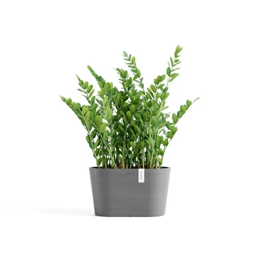 Tokyo 30 Grijs sfeer, Ecopots, tuincentrumoutlet.com