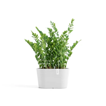 Tokyo 30 Wit sfeer, Ecopots, tuincentrumoutlet.com