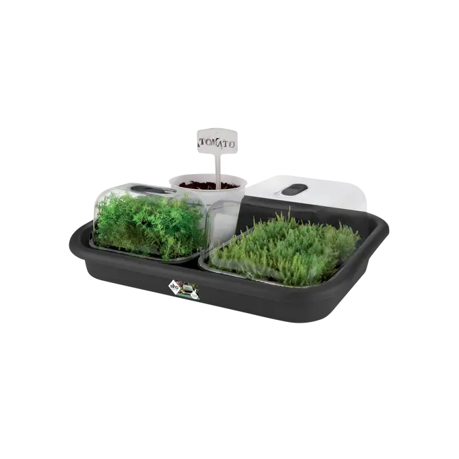 Tuintray green basic d58.5cm l zwart sfeer, Elho, tuincentrumoutlet